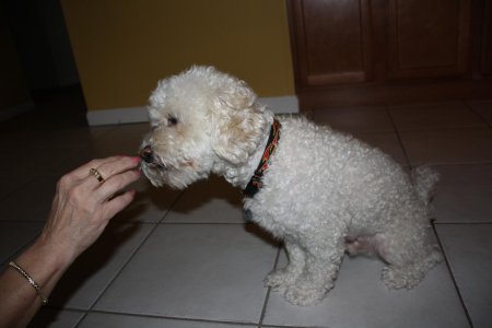 Vacation 2010 017.jpg