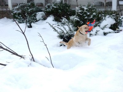 christmases 034.jpg