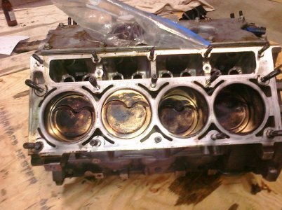 ls1side.jpg
