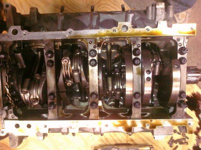 ls1bottom.jpg