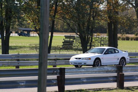 IMG_3613.jpg