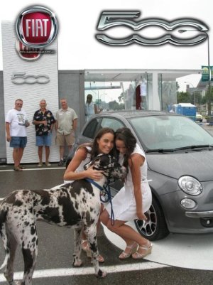 Dream cruise 1 year old.jpg
