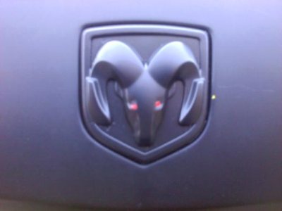 Image(15).jpg