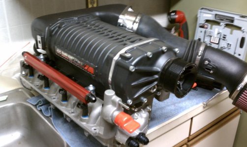 IMAG0131.jpg