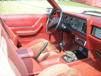 mustang tony 008.jpg