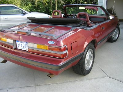 mustang tony 002.jpg