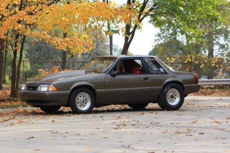 fall pics 016.jpg