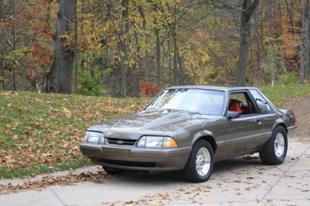 fall pics 010.jpg