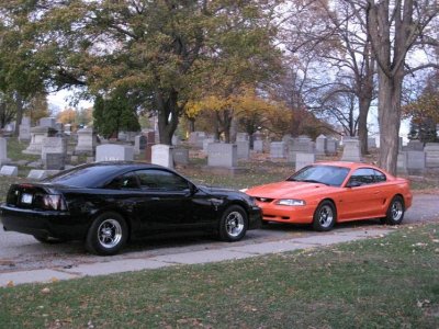 IMG_0222.jpg