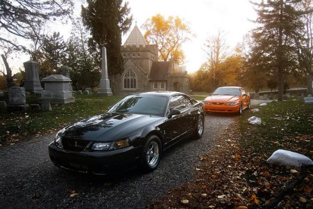 BLACK AND ORANGE PRETTY.jpg