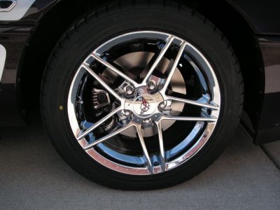 PICT0339.JPG
