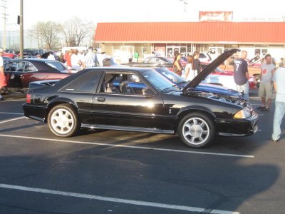 stang.JPG