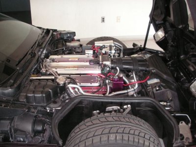 PICT0343.JPG
