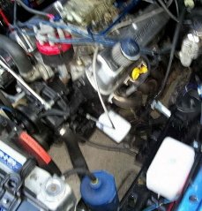 new smallstang1.jpg