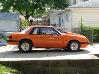 Resized mustang pic 1.jpg