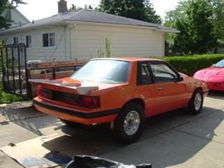 Resized mustang pic 2.jpg