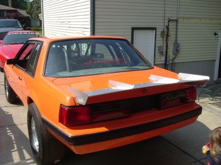 Resized mustang pic 3.jpg