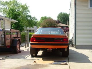 Resized mustang pic 5.jpg