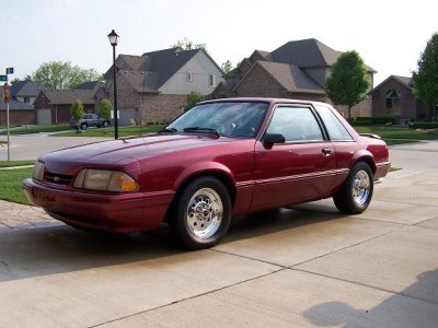 Mustang 002.jpg