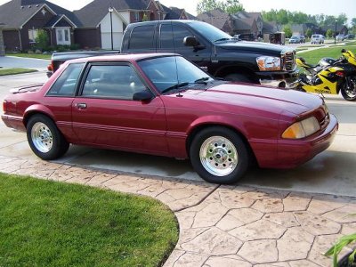 Mustang 003.jpg