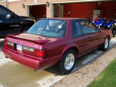 Mustang 006.jpg