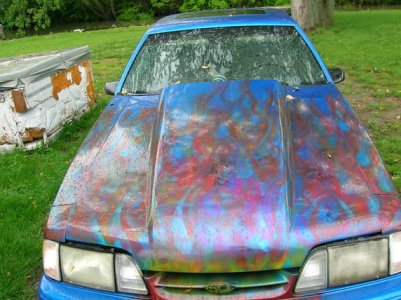 Russ stang 4.jpg