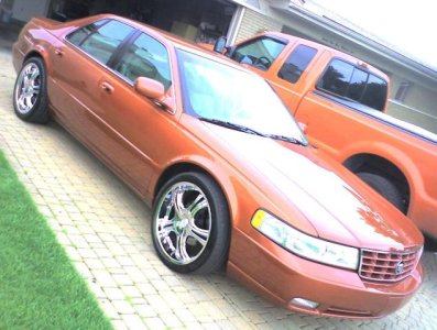 caddy.jpg