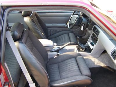 Mustang 007.jpg