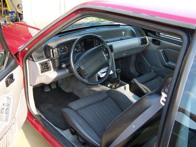 Mustang 008.jpg