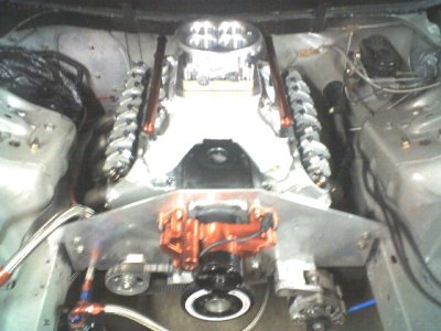 img008.jpg