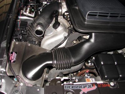i-PCV%20mustang%20003.jpg