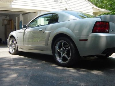 cobra resize for motown.JPG