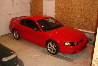 DSC01724.jpg