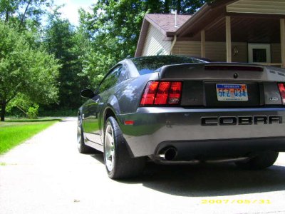cobra 018.jpg