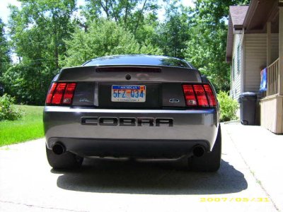 cobra 017.jpg