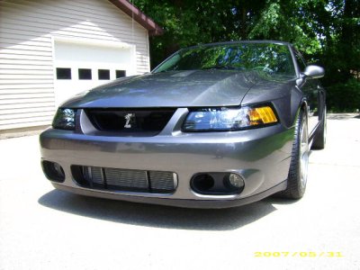 cobra 015.jpg