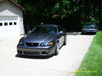 cobra 021.jpg