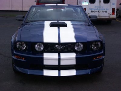 Mustang 1.jpg