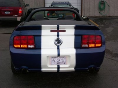 Mustang 3.jpg