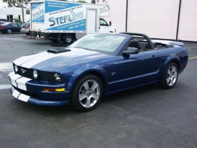Mustang 2.jpg