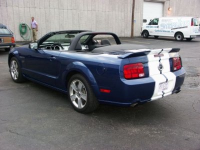 Mustang 4.jpg