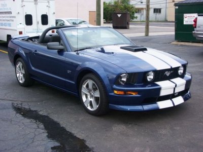 Mustang 5.jpg