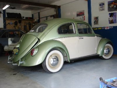beetle 1.jpg