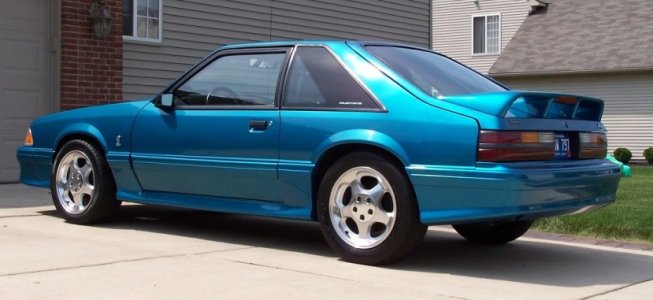 resize_2.JPG