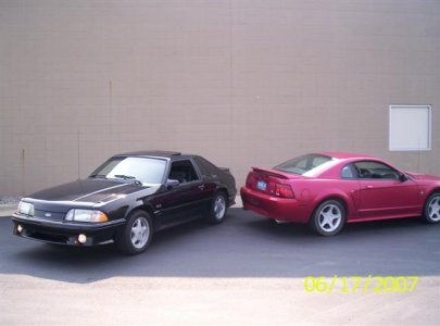 ME and STANGS 001 (Small).jpg
