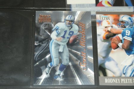 lions 004.jpg