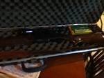 gun.jpg