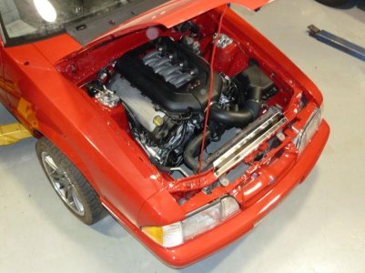 coyoteswap100.jpg