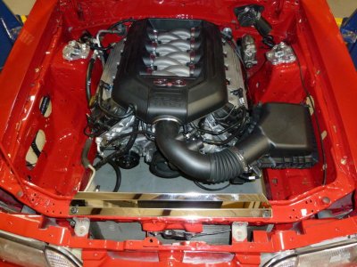 coyoteswap091.jpg
