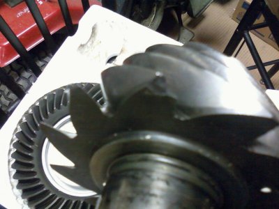 Pinion chip.jpg
